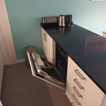 Apartment Comfortable Flat Near The *